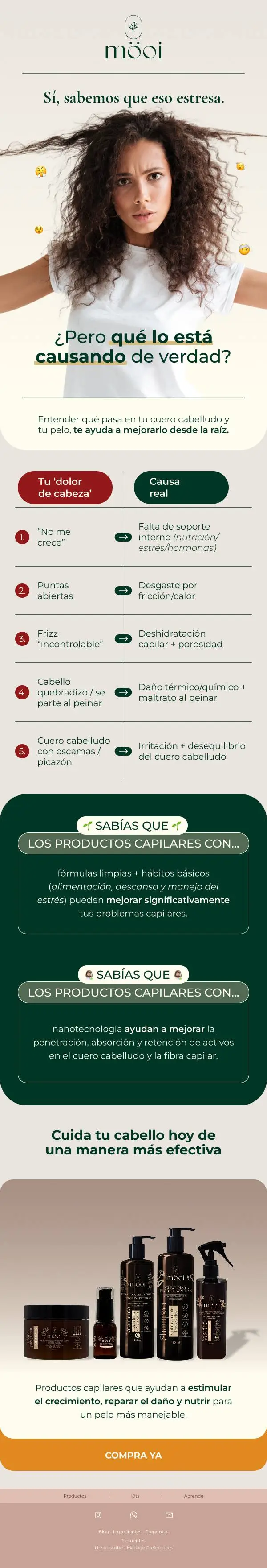 EM [Lo que es vs lo que realmente es]